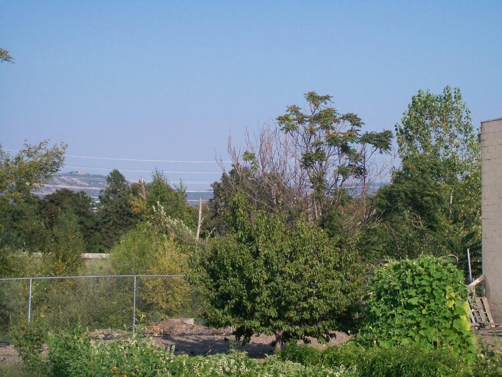 Relax Inn Of מדפורד חדר תמונה